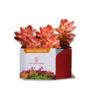 2HR Aquarist APT Jazz 54 Capsules – Engrais solide