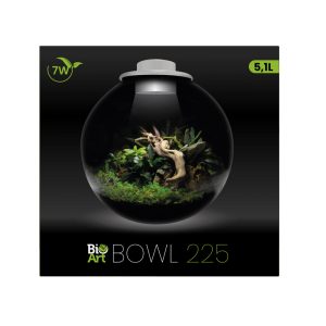 BioArt Bowl 285 Blanc – Terrarium 5,1 L