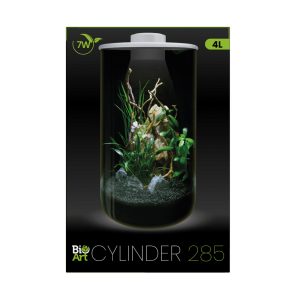 BioArt Cylinder 285 Blanc – Terrarium 4 L