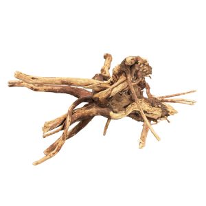 BioArt Spider Wood 10-15 cm
