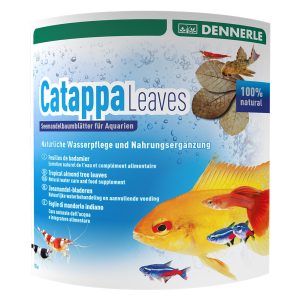 Dennerle Catappa Leaves – Feuilles de Catappa x10