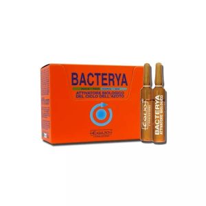 EQUO Bacterya 5ml – 6 ampoules