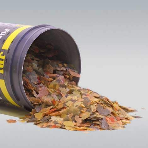JBL Gala 250ml nourriture premium pour poissons – Image 2