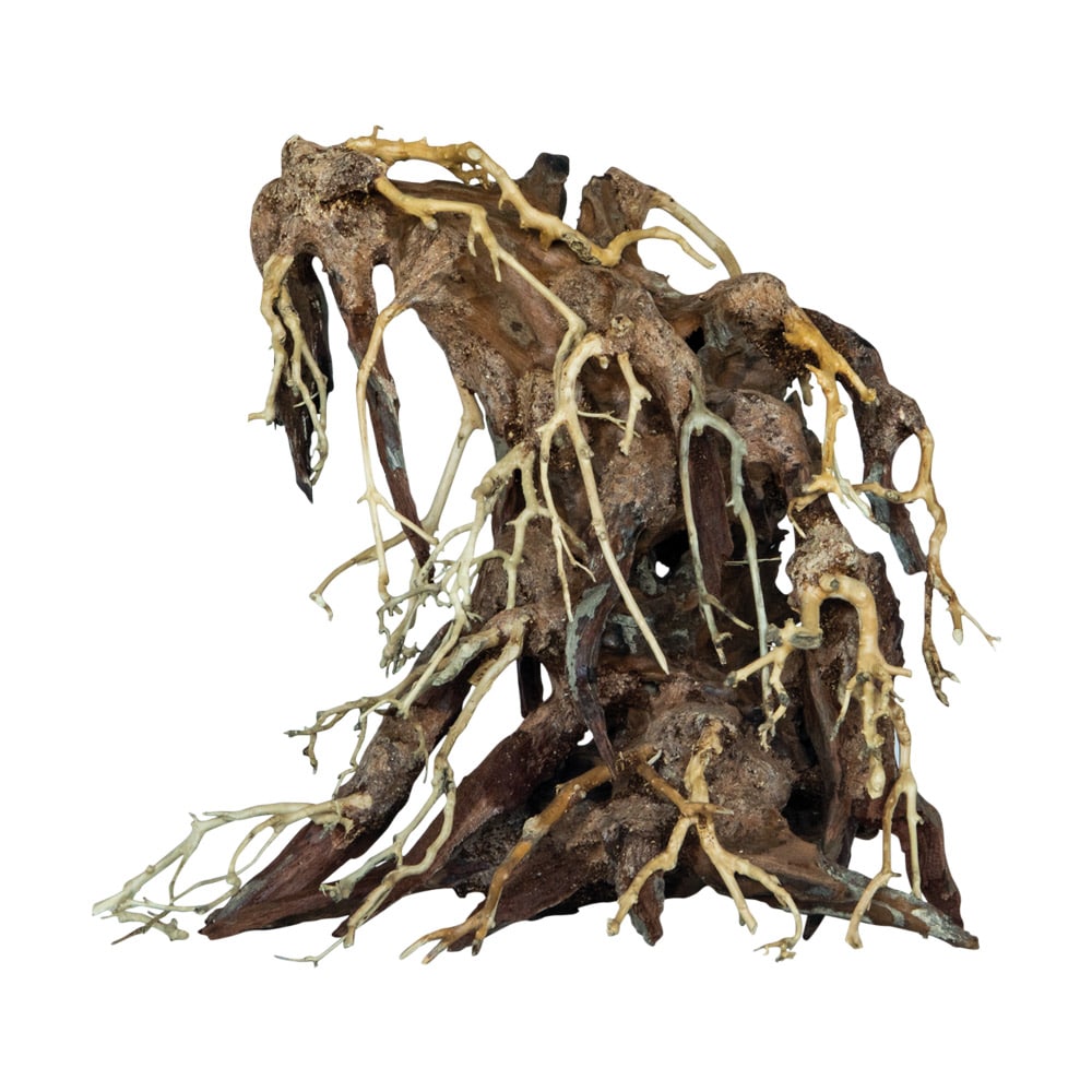 SuperFish Bonsai Root M