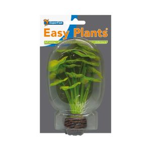 SuperFish Easy Plants Hydrocotyle – 13 cm