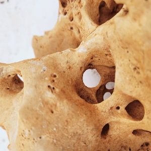Wio Hole – Pack Nano 2kg
