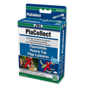 JBL PlaCollect II : piège à planaires