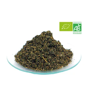 Ortie piquante bio feuilles coupées