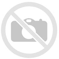 BLEDINE LACTEE AU MIEL 250g